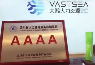 大瀚人力資源集團 企業(yè)管理咨詢?nèi)绾瓮苿咏M織變革與效能提升？